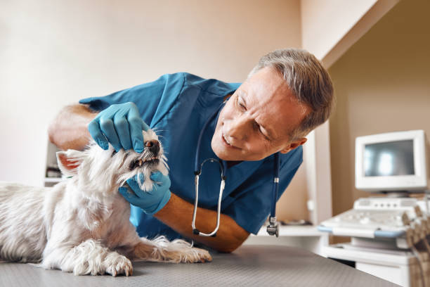 Best Walk-In Emergency Dentist in Boonville, MO